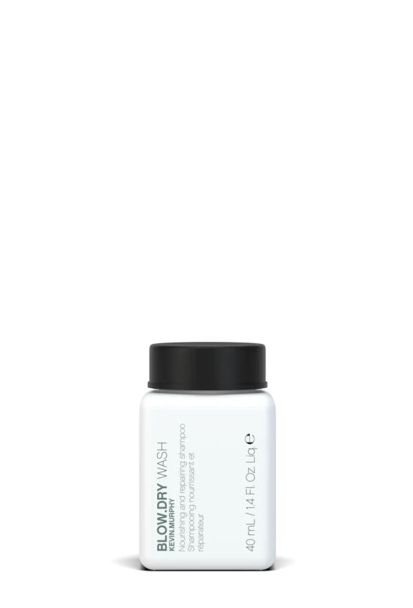KEVIN MURPHY SUMARTASKA  1 - BLOW.DRY - Image 4
